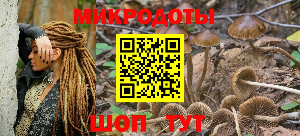 Псилоцибиновые грибы Psilocybe  Галлюциногенные грибы мухоморы  Вход с VPN  Алатырь 